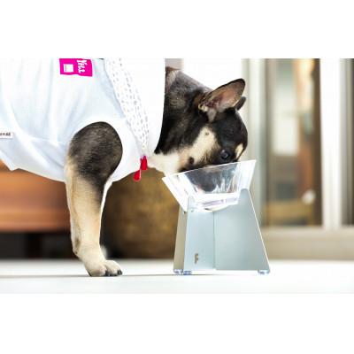 ふるさと納税 岡崎市 フードテーブル&フードボウル　組み立て式　MIDDLE |  | 02