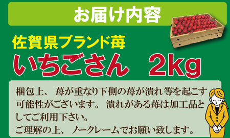【先行予約受付中（2月から順次出荷）】大容量いちごさん 1kg×２箱（2,000g）ふるかわ農園 イチゴ 大中小 サイズ 優品等級 苺 大量 段ボール配送 加工品用 【B190-008】