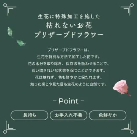 プリザーブドフラワー ガラスケース入りアレンジ 【イネス モナ(オレンジ)】【1748558】