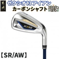 ゼクシオ 13 アイアン カーボンシャフト【SR/AW】 ≪2023年モデル≫