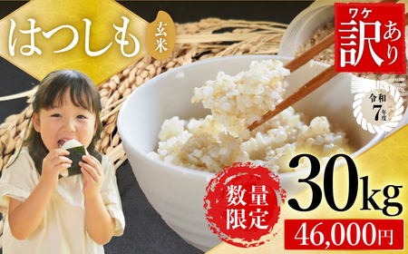 【訳あり】【今だけ寄付額改定！在庫なくなり次第終了】R7年産 ハツシモ米 【玄米】30kg