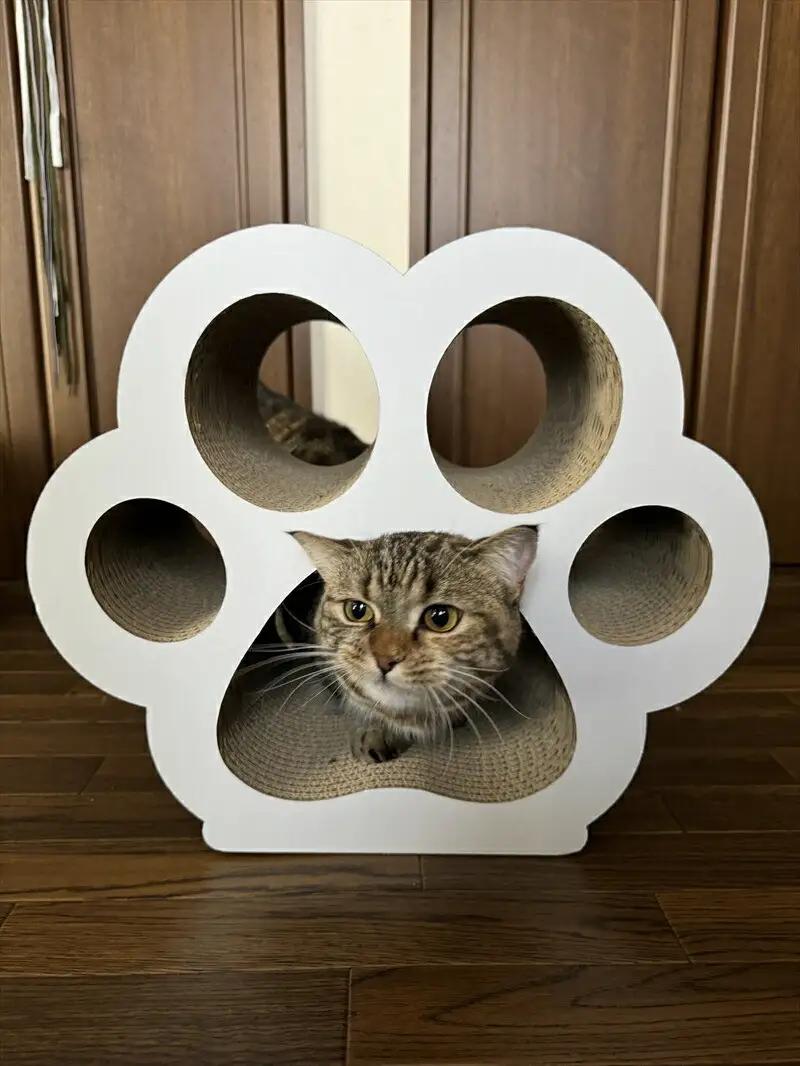 ねこの爪とぎ　にくきゅうCT　カラー；ホワイト【 ペット用品 爪とぎ 神奈川県 小田原市  ペット ペット】