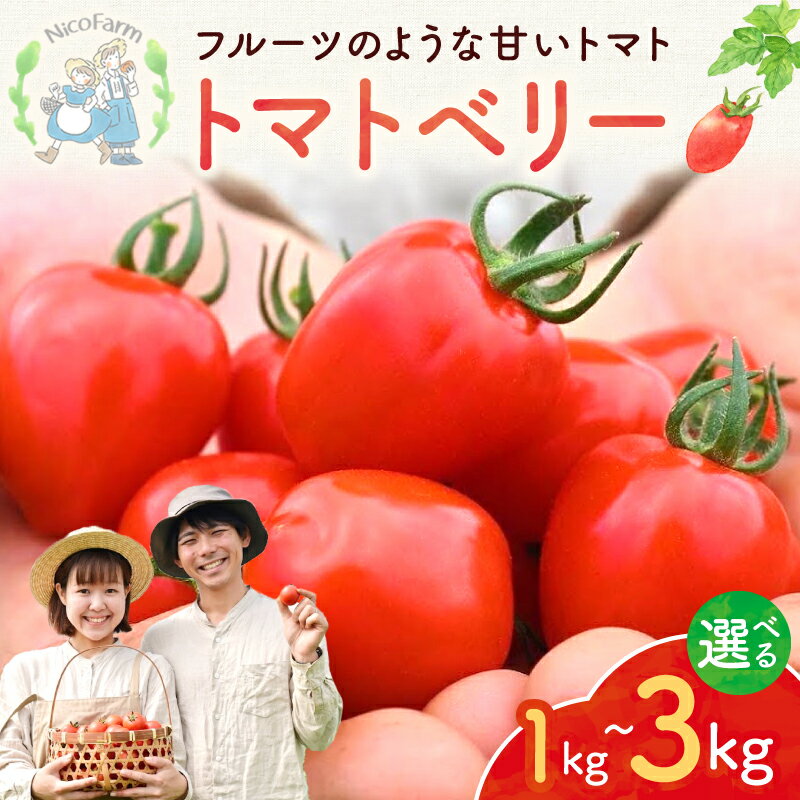 【ふるさと納税】【先行予約：2026年7月下旬頃より発送】【容量が選べる！】NicoFarm トマトベリー（ミニトマト） 果肉多め ジューシー 甘いトマト ハート型 完熟収穫 容量選べる フルーツトマト 子供に人気 パクパク食べられる 可愛らしい形 北海道 余市 送料無料