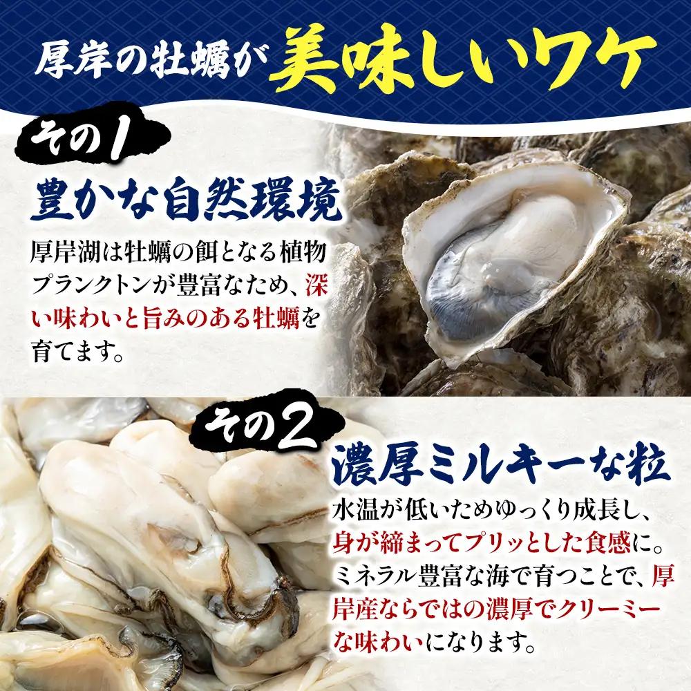 北海道 厚岸産 砂抜き済み あさり 4kg ＆ ブランド牡蠣 マルえもん 殻付き LLサイズ 20個 【光輝】 [ 魚貝類 海鮮 海の幸 みそ汁 酒蒸し アサリバタ 産地直送 生食用牡蠣 生食用 牡蠣