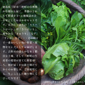 野菜 おまかせ セット 3～4種 旬の野菜 詰め合わせ 定期便 3回【 野菜 】