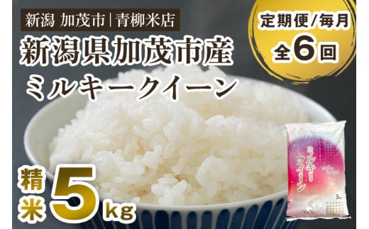 【令和6年産新米先行予約】【定期便6ヶ月毎月お届け】新潟県央地区 ミルキークイーン 精米5kg 新潟米 新潟産 お米  白米 加茂市 青柳米店