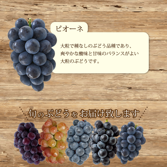 【先行受付】ぶどう2房と梨2個詰め合わせ 2025年9月下旬発送予定 果物 くだもの フルーツ ブドウ なし 葡萄 202008