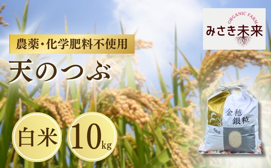 【先行予約】天のつぶ 白米 10kg 令和8年産 | 無農薬 農薬不使用 化学肥料不使用 精米 お米 米 こめ コメ 福島産 福島県産 南相馬 みさき未来 天のつぶ co024-ab