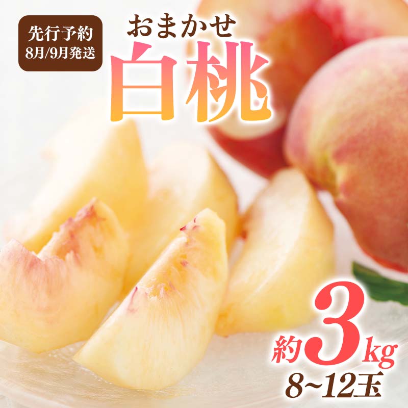 【ふるさと納税】 ≪2025年先行予約≫ 山形県産 品種おまかせ 白桃 約3kg(8～12玉) 【選べる配送月 8月／9月】 秀品 桃 もも モモ 果物 くだもの 夏果実 フルーツ 産地直送 山形県 西川町 月山 FYN6-115var