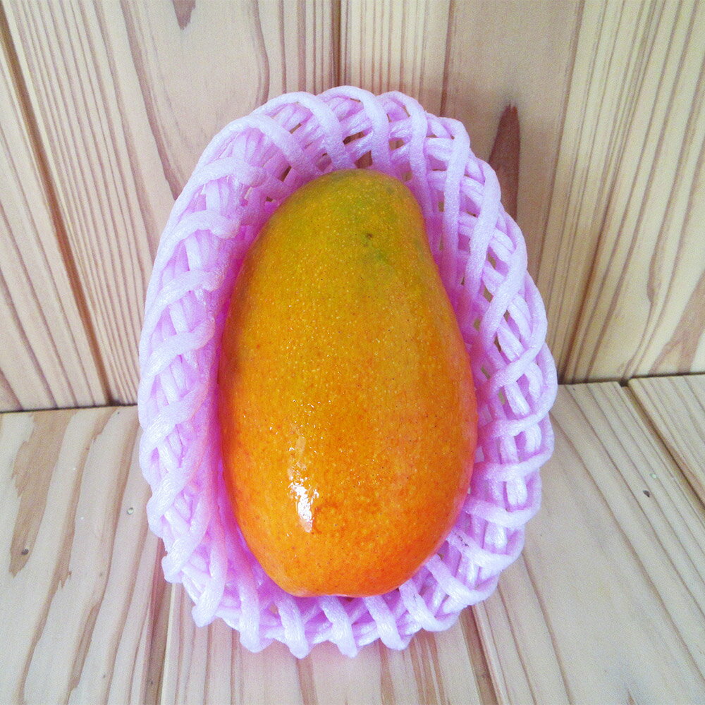 【ふるさと納税】人吉市産 マンゴー 2～3玉（約1.5kg） アップルマンゴー キーツマンゴー まんごー ビニールハウス栽培 フルーツ 果物 果実 くだもの 熊本県産 国産 九州 熊本県 人吉市 送料無料 【2026年7月上旬～8月上旬発送予定】