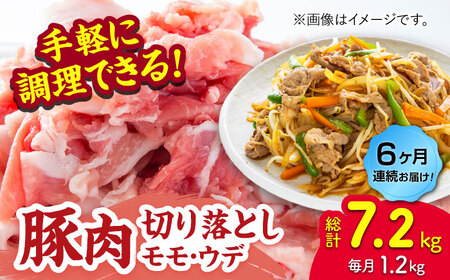 【6回定期便】豚肉切り落とし（モモ・ウデ部位指定なし）約1.5kg（約300g×5pc）【吉里精肉】[ZEW085]