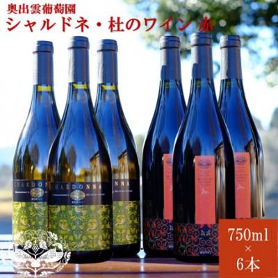 ふるさと納税 雲南市 シャルドネ750ml×3本・杜のワイン赤750ml×3本　辛口白ワイン辛口赤ワイン　飲み比べ