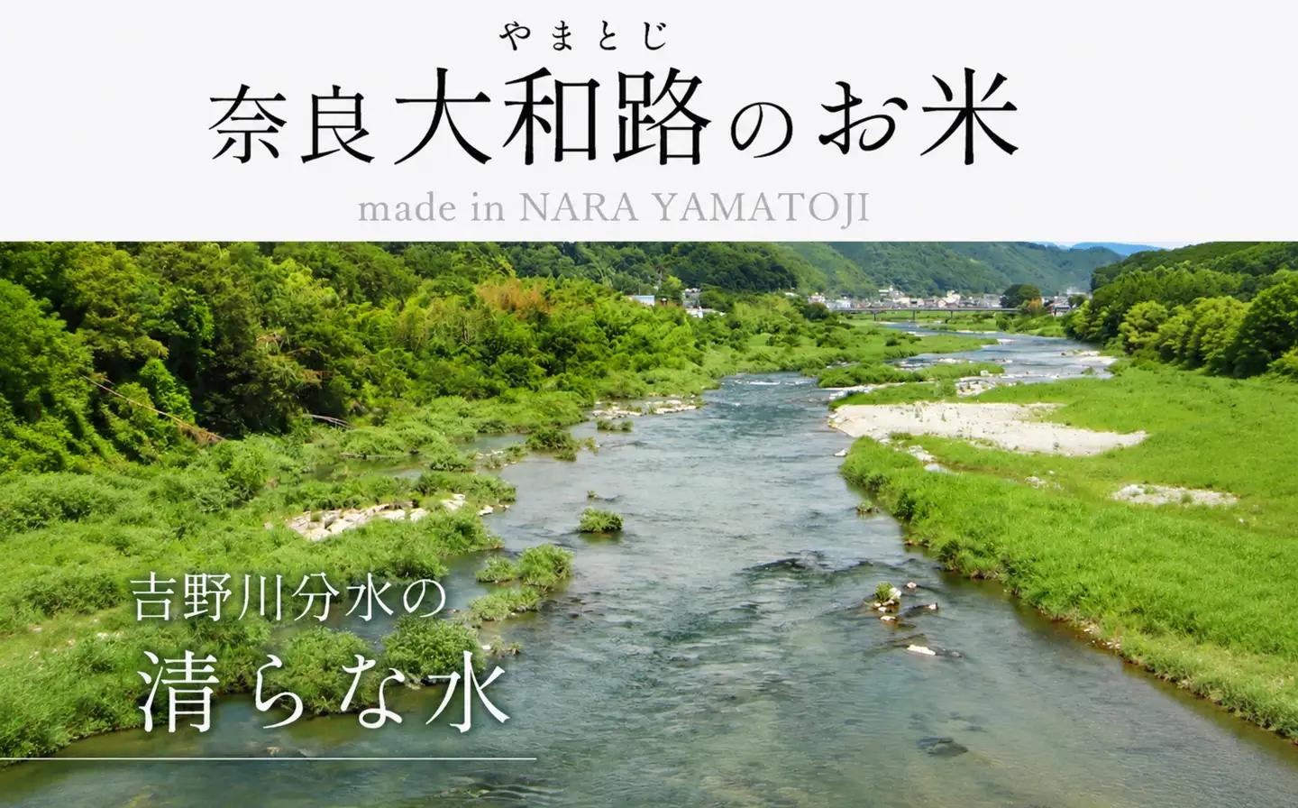 奈良大和路 ひのひかり 白米 10kg | コメ 米 こめ お米 おこめ オコメ ひのひかり おにぎり 白米 おにぎり | 奈良県 五條市