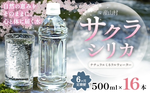 【6ヶ月定期便】サクラシリカ 500ml 16本 定期便 みずの里《お申込み翌月から出荷》熊本県 阿蘇郡 産山村 ミネラルウォーター シリカ 水 天然水 鉱水 ラベルレス ラベルなし