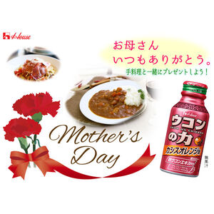 ハウスウェルネスフーズ ウコンの力 カシスオレンジ味 2パック（12缶）
