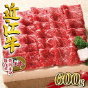 【ふるさと納税】 近江牛 牛肉 焼肉 600g お肉 肉 カタ モモ バラ 赤身 盛り合わせ 国産 ブランド牛 日本三大和牛 和牛 黒毛和牛 贈り物 ギフト 冷凍 産地直送 滋賀県 竜王町 澤井牧場 送料無料