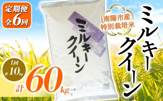 
            【金賞受賞農家】 《定期便6回》 令和7年産 特別栽培米 ミルキークイーン 計10kg(5kg×2袋)×6か月 『あおきライスファーム』 山形南陽産 米 白米 精米 ご飯 農家直送 山形県 南陽市 [2416]
          