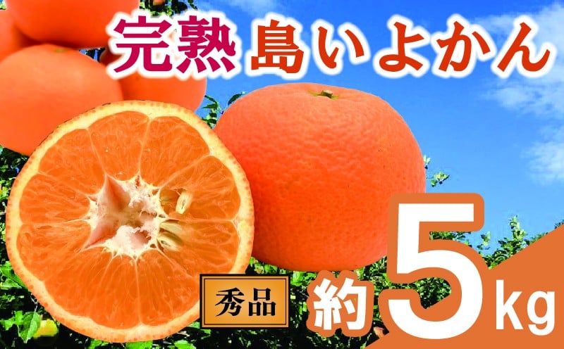 
            【先行予約】 完熟島いよかん (秀品) 約5kg | いよかん 伊予柑 柑橘 みかん 蜜柑 mikan 檸檬 オレンジ おれんじ かんきつ 【2026年2月上旬頃から発送予定】 愛媛県 松山市 ココオ Koko'o
          