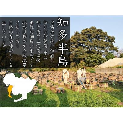 ふるさと納税 半田市 竹内養蜂の蜂蜜1種(みかん2本) 各200g プラスチック便利容器 |  | 02
