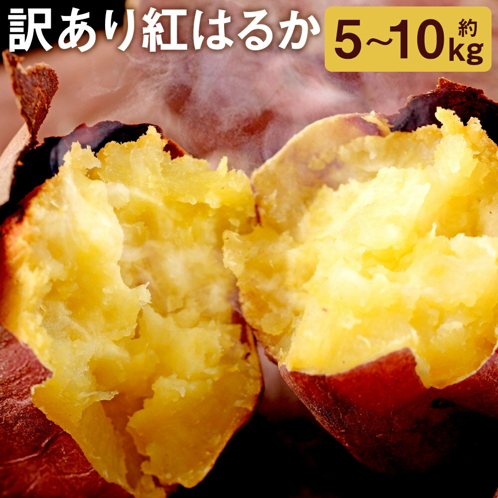 【ふるさと納税】訳あり 紅はるか 約5kg/約10kg 選べる内容量 2S〜3L混合 ご家庭用 さつまいも 芋 紅蜜芋 焼き芋 野菜 菊池市産 熊本県産 九州産 送料無料《90日以内に発送予定（土日祝を除く）》