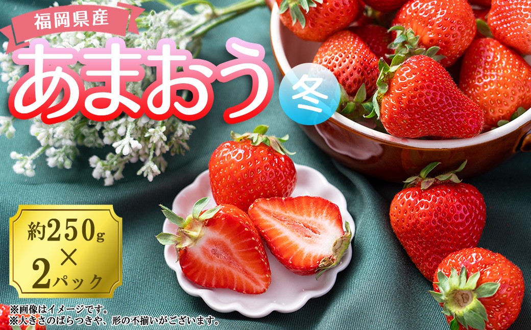 
3V1 【冬】福岡産あまおう2パック
