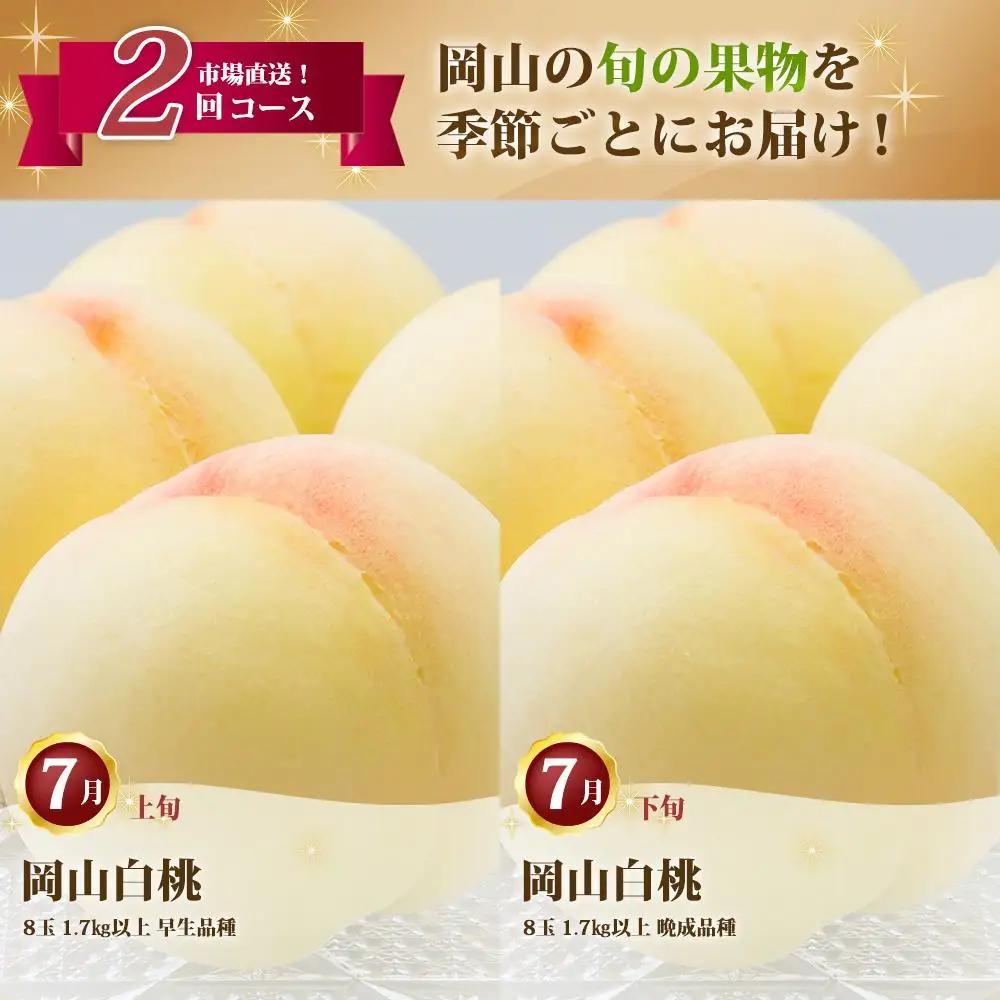 桃 定期便 2027年 岡山 の 白桃 8玉 合計1.7kg以上×2回 お届け 化粧箱入り もも モモ 岡山産 国産 フルーツ 果物 ギフト