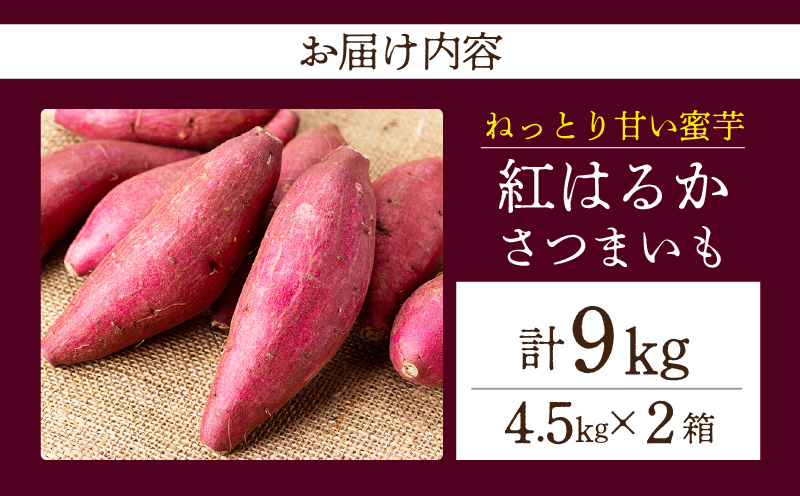 【ねっとり甘い蜜芋】さつまいも 紅はるか（4.5kg×2箱）合計9kg・H103