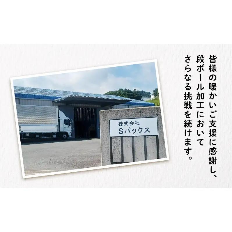 贈答用段ボールケース（縦型）10ケース 箱 ダンボール フタ付き 贈答用 ギフト 缶ビール ジュース 調味料 組み立て簡単 道具不要 静岡県 森町