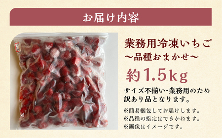 【2026年5月より発送】《 業務用の大袋 》 加工向きな 冷凍いちご 品種おまかせ 1.5kg 簡易梱包 サイズ 不揃い のため 訳あり 訳アリ フルーツ 果物 苺 いちご イチゴ アイス 紅ほっぺ