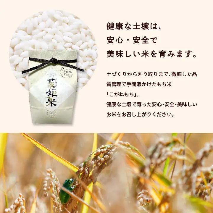 米 もち米5kg（ 高級ブランドもち米こがねもち使用）【ADATARAふぁーむ】