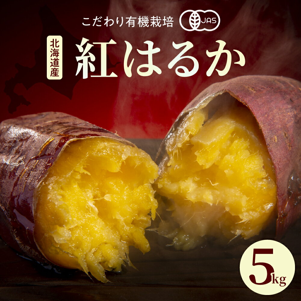 【ふるさと納税】北海道 十勝芽室町産 有機JAS認証 鈴鹿農園 栽培期間中農薬不使用 熟成 さつまいも 紅はるか お試し 5kg 土付き 芽室町 送料無料 常温保存