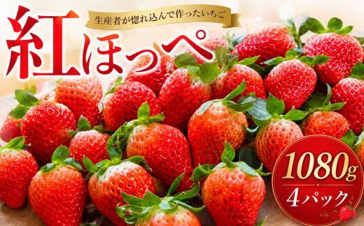 【2027年1月発送】 いちご 紅ほっぺ 計1080g 約270g×4パック 苺 イチゴ 果物 フルーツ くだもの 旬 デザート 産地直送 農家直送 数量限定 期間限定 旬 お取り寄せ プレゼント ギフト 贈り物 ichigo strawberry itigo ふるさと納税いちご 茨城県 鉾田市 紅ほっぺの村田