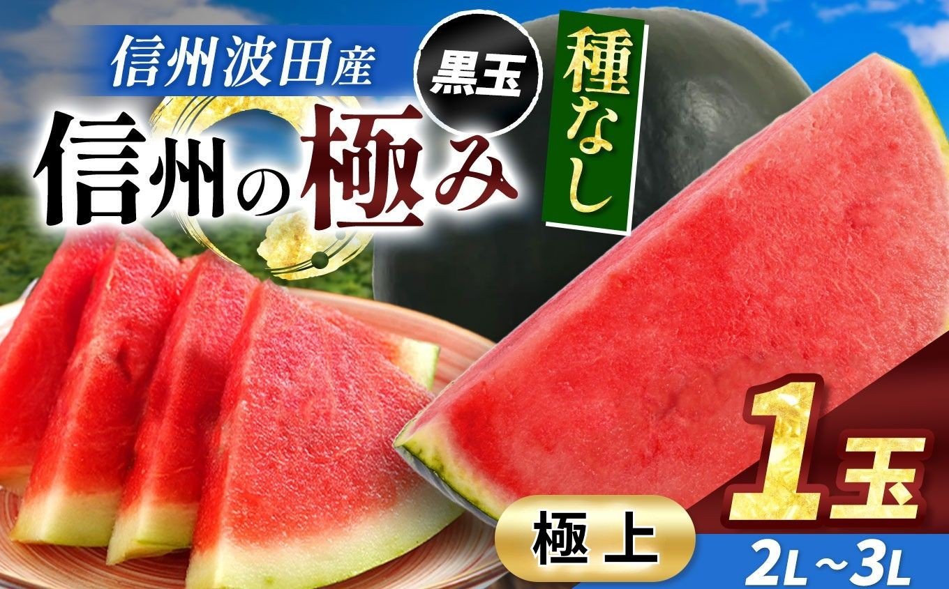 
                  【先行受付：7月発送】信州波田産 種無し黒玉スイカ！信州の極み 【極上】 2L～3Lサイズ 1玉｜ふるさと納税 長野県 信州 松本 果物 フルーツ すいか スイカ 西瓜 贈答 季節限定 甘い くだもの ふるーつ
                