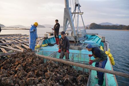 呉市養殖かき事業者支援寄附金　ku000-003-5-r