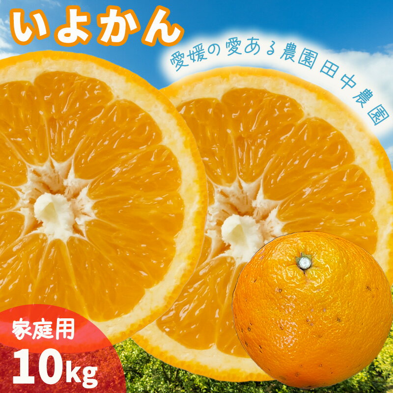 【ふるさと納税】 伊予柑 約10kg 家庭用 【1月上旬から順次発送】（ みかん ミカン 蜜柑 イヨカン 宮内伊予柑 いよかん 橘類 先行予約 果物 フルーツ ジューシー 先行予約 果物 フルーツ みかん 人気 おすすめ 愛媛 松山 田中農園 ）