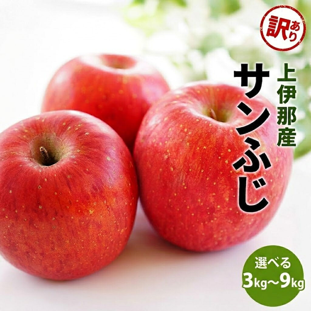 【ふるさと納税】【先行予約】令和8年産 訳あり サンふじ りんご 選べる 内容量 3kg 4.5kg 9kg 家庭用 長野産 信州 産地直送 フルーツ 果物 リンゴ さんふじ 林檎　お届け：2026年11月上旬～12月下旬