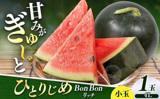 松本市 波田産 小玉すいか ひとりじめBonBonリッチ 4L(2.5kg～3.2kg)１玉｜先行予約 スイカ すいか 小玉スイカ 小玉 果物 くだもの 新鮮 果汁 ジューシー フルーツ ふるーつ 長野県 松本市