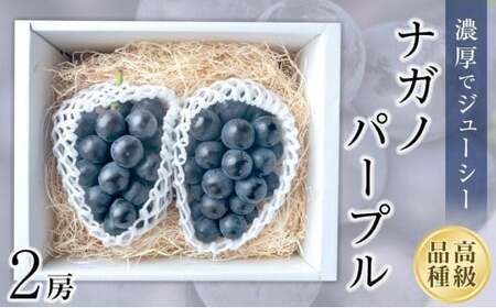 【2025収穫分先行予約】 ぶどう ナガノパープル 2房 約 1.1kg 新着 人気 予約 フルーツ くだもの マスカット ぶどう 早朝 収穫 朝採れ ギフト 贈答 期間限定 2025年発送 先行予約 ※8/10頃～発送予定 ナチュラルファームｅｎ【GL003】