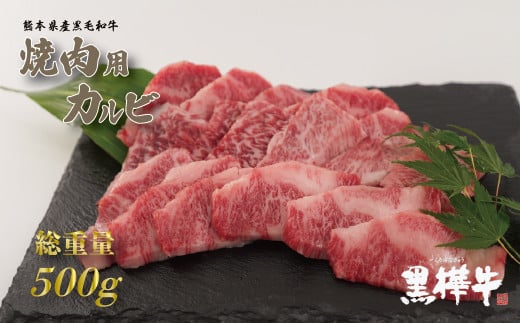 
【ふるさと納税】熊本県産 黒毛和牛 黒樺牛 A4～A5等級 焼肉用 カルビ 500g 熊本県 牛肉 肉 霜降り バーベキュー BBQ 小分け お取り寄せ グルメ 杉本本店 国産
