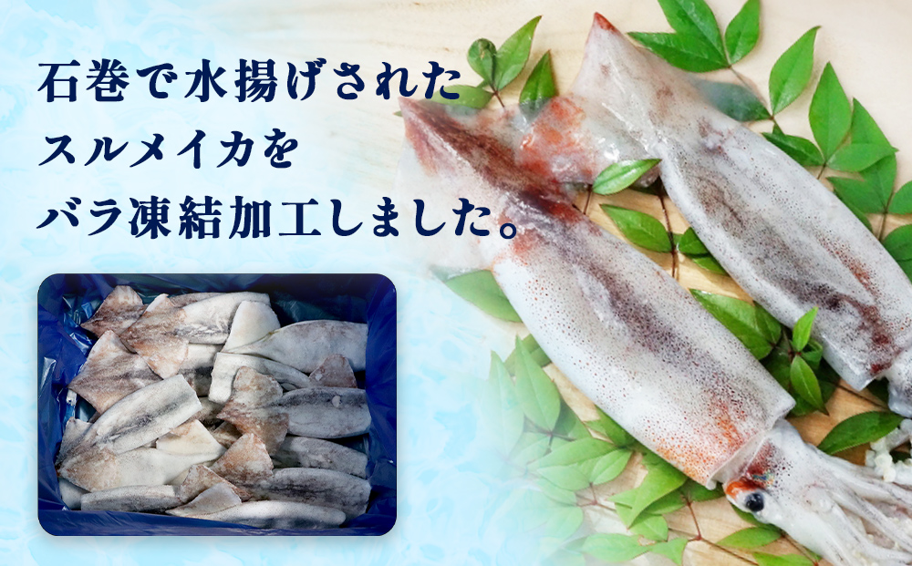 石巻市産スルメイカツボ抜き1kg 冷凍 国産 スルメイカ いか 