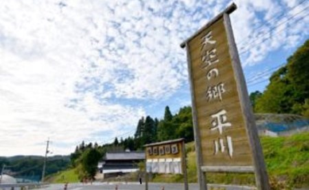 ぶどう ニュー ピオーネ 2房 1.2kg以上 高梁市産 2026年度 早期受付 ぶどう