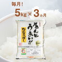 【ふるさと納税】【3回定期便】白米 5kg ななつぼし 13年連続特A受賞　 ブランド米 限定生産 ふっくら ツヤツヤ 家庭用 北海道 胆振 国産 【送料無料】