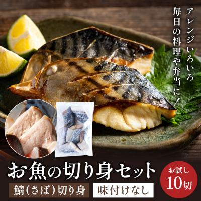 ふるさと納税 関市 さば 切り身 10切 学校給食馴染みのお魚/サバ 鯖 お試し 冷凍 簡単 お弁当 おかず | 