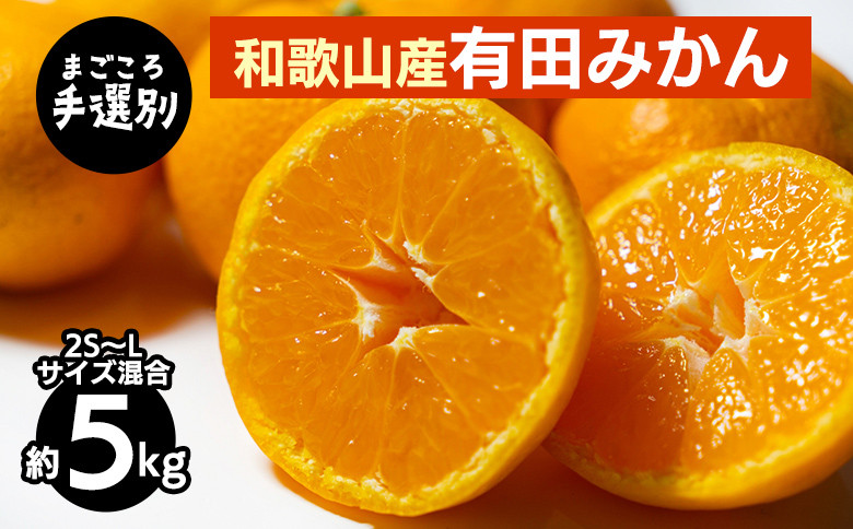 
            【まごころ手選別】和歌山産 有田みかん 5kg (2S～Lサイズ混合) ※2025年11月上旬～2026年1月下旬頃に順次発送予定
          