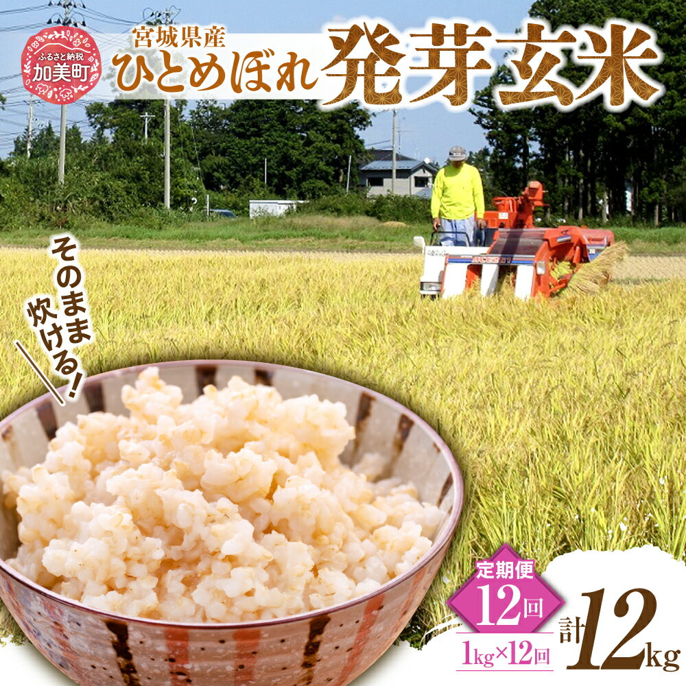 【ふるさと納税】定期便 12ヶ月 簡単に炊ける 宮城県産 ひとめぼれ 発芽玄米 計 12kg ( 1kg × 12回 ) 菅原商店 宮城県 加美町 sg-hb01-hg-t12 お米 米 玄米 げんまい