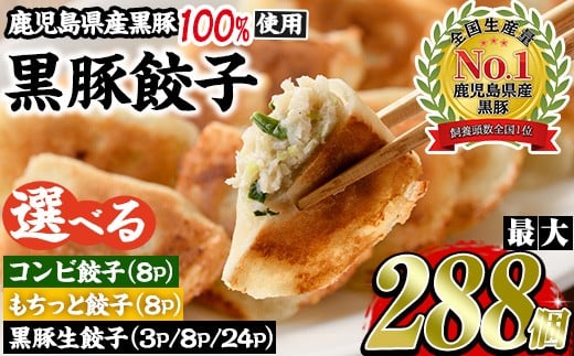 選べる2種！鹿児島黒豚使用の黒豚餃子(計108個・12個入り×9パック)
