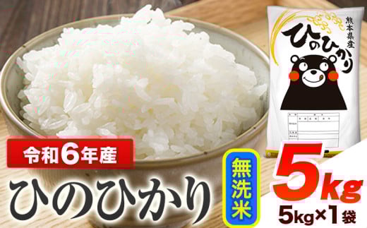 令和6年産 ひのひかり 無洗米 5kg 《7-14日以内に出荷予定(土日祝除く)予定》 熊本県産 無洗米 精米 ひの 送料無料 熊本県 山江村