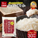 【ふるさと納税】北海道 定期便 3ヵ月連続3回 令和6年産 ゆめぴりか 5kg×2袋 特A 精米 米 白米 ご飯 お米 ごはん 国産 ブランド米 肉料理 ギフト 常温 お取り寄せ 産地直送 送料無料　【定期便・月形町】　お届け：令和6年10月初旬から順次出荷いたします。