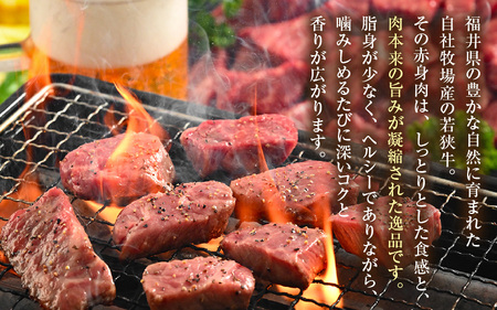 【訳あり】 若狭牛 赤身肉 500g（250g×2個）／ 国産 牛肉 A4 A5 ブランド牛 [aw009-a005]