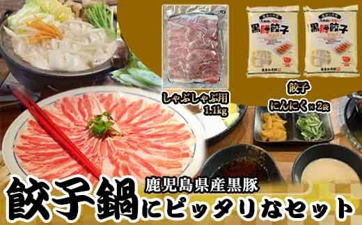 鹿児島県産黒豚 餃子鍋にピッタリなセット(にんにく)  合計約1.5kg AS-476